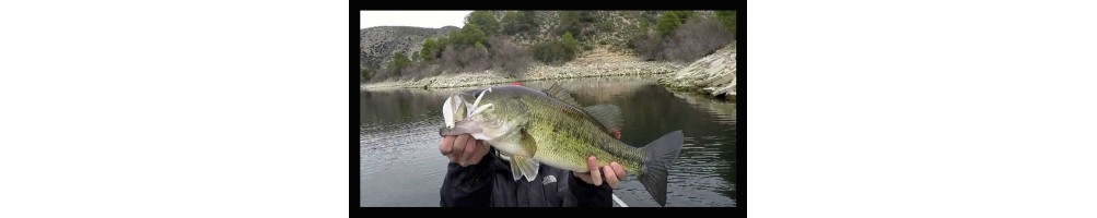 Longasbaits PDL Rig