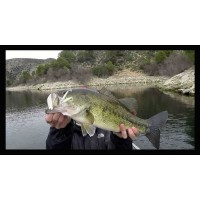 Longasbaits PDL Rig