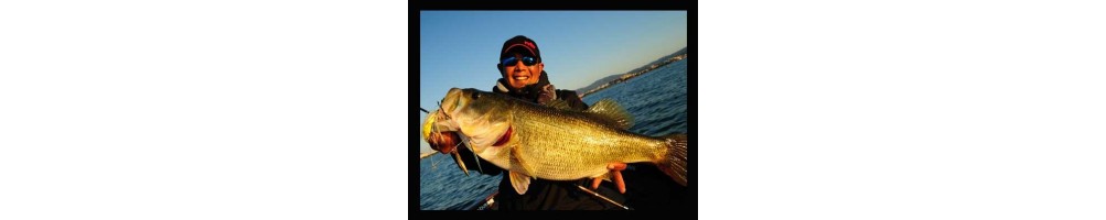 Megabass