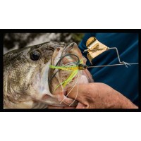 BUZZBAITS