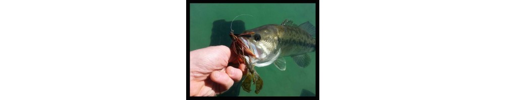Deps