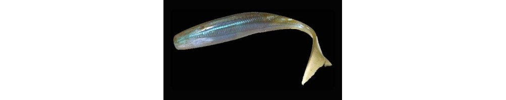 Owner Jr. Minnow