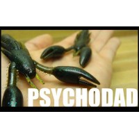 Kinami Psychodad 4"