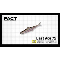 Last Ace 75 