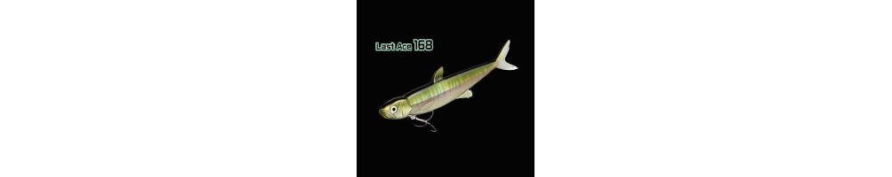 Last Ace 168
