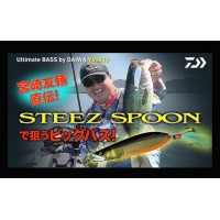 Daiwa Steez Spoon