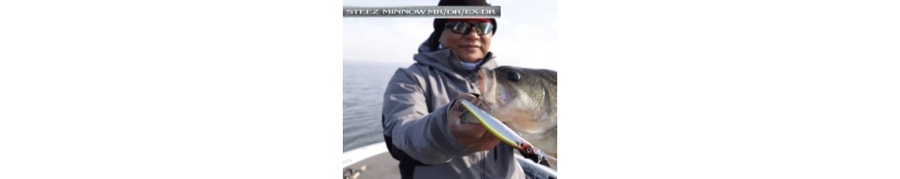 Daiwa Steez Minnow