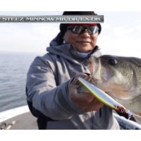 Daiwa Steez Minnow