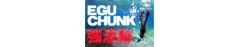 Raid Egu Chunk