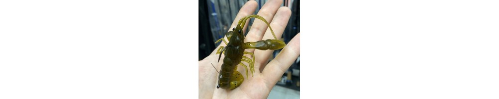 River2Sea Stand'n Yabbie