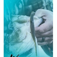 Gary Yamamoto Shad Shape Worm 5" Floating