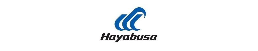 Hayabusa