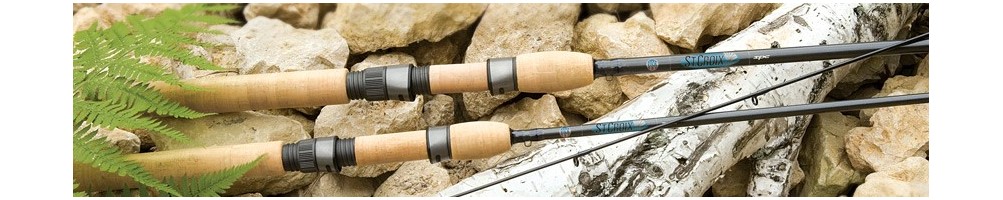 Avid Series