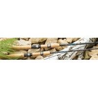 Avid Series spinning