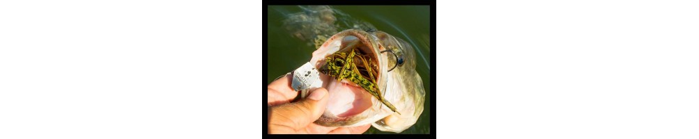 Original ChatterBait