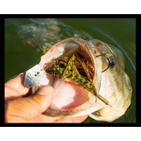 Original ChatterBait