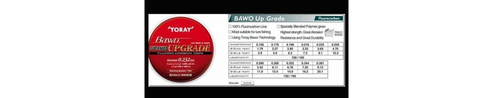 Toray  Bawo SH Upgrade