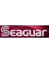 Seaguard