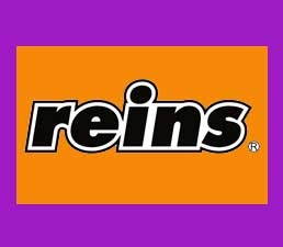Reins